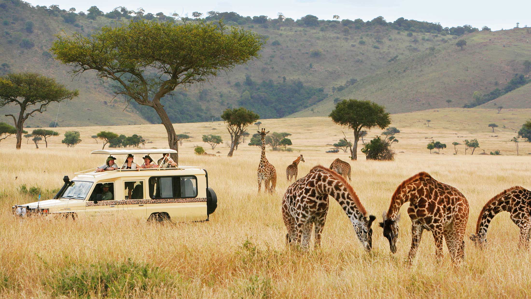 East African Wildlife Safari